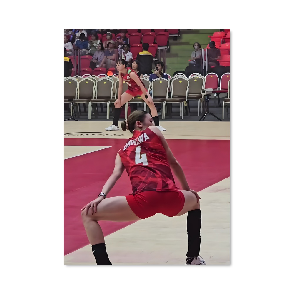 Poster Volleyball world